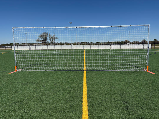 Flat Faced Training Goal